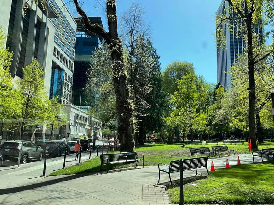 A Guided Walking Tour of Vibrant Downtown Portland - Price and Value: Is $44 Worth It?