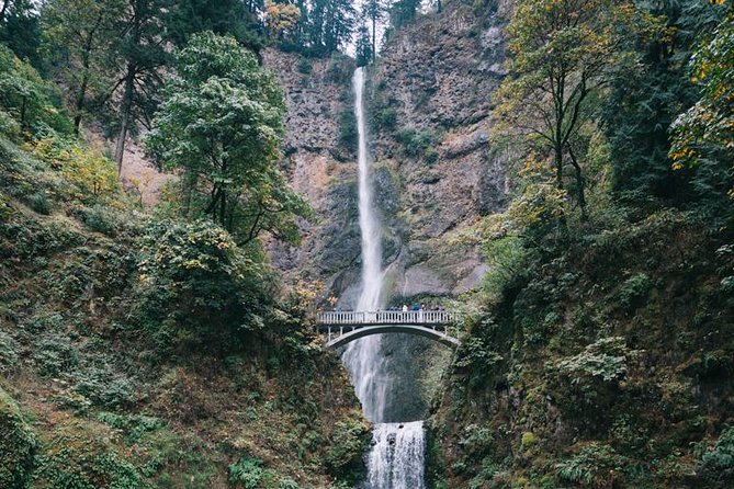 Afternoon Half-Day Multnomah Falls and Columbia River Gorge Waterfalls Tour from Portland - The Gorge story: why waterfalls hit so hard here