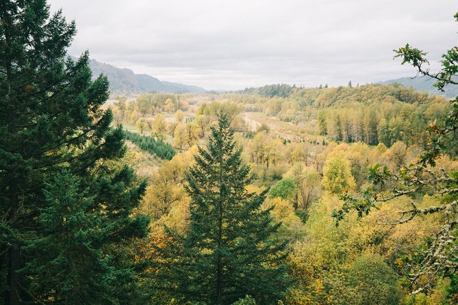 Afternoon Half-Day Multnomah Falls and Columbia River Gorge Waterfalls Tour from Portland - Pacing and the one rule that keeps everything smooth