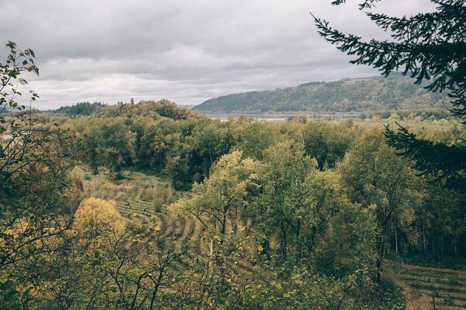 Afternoon Multnomah Falls and Gorge Waterfalls Tour - Multnomah Falls: Oregon’s Big Name, Plus a Real Day Lodge