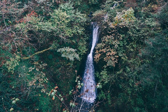 Afternoon Multnomah Falls and Gorge Waterfalls Tour - The Gorge Story You Hear Along the Way
