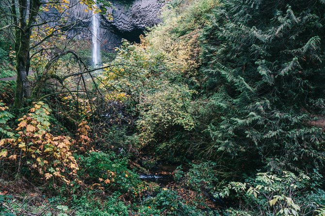 Afternoon Multnomah Falls and Gorge Waterfalls Tour - Price Value: Is $85 Worth It?