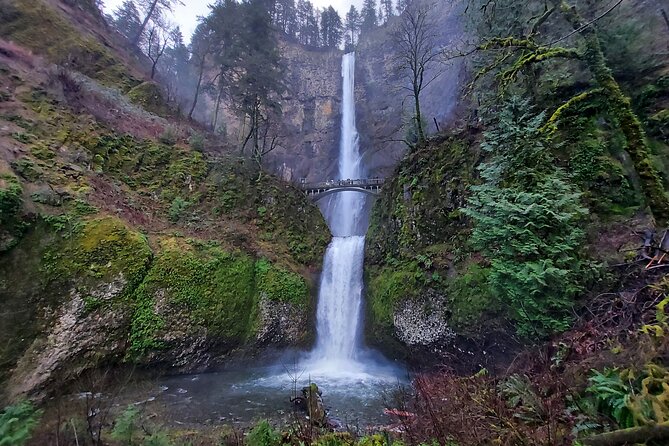 Afternoon Tour in Columbia Gorge Waterfall with Free Wine Tasting - Latourell Falls: fluorescent lichen, basalt columns, and an old logging ghost-town vibe