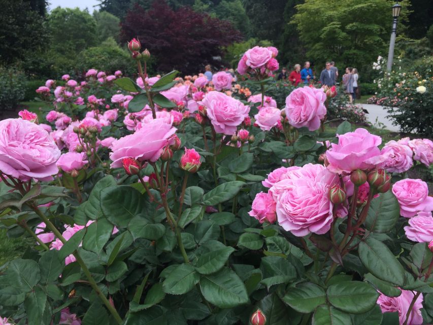 Bike Portland: Bridges, Neighborhoods, Poetry, and Roses - Why this Portland bike tour feels like walking with a camera