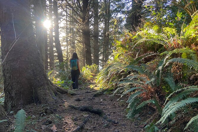 Cannon Beach Hiking Tour on the Oregon Coast - Key highlights you’ll feel on the day