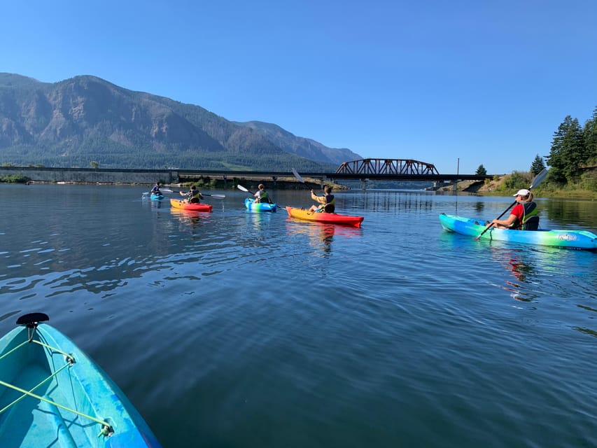 Columbia Gorge Kayak Tour - Wildlife Spotting That Feels Like Observing, Not Lecturing