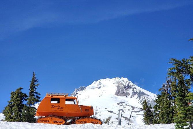 Columbia Gorge Waterfalls and Mt. Hood Tour - Full Day - Should You Book This Columbia Gorge and Mt. Hood Day Tour?