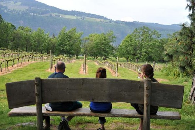 Columbia Gorge Waterfalls & Wineries from Portland: All-Inclusive Afternoon Tour - Multnomah Falls at 620 Feet: Make Your 45 Minutes Count