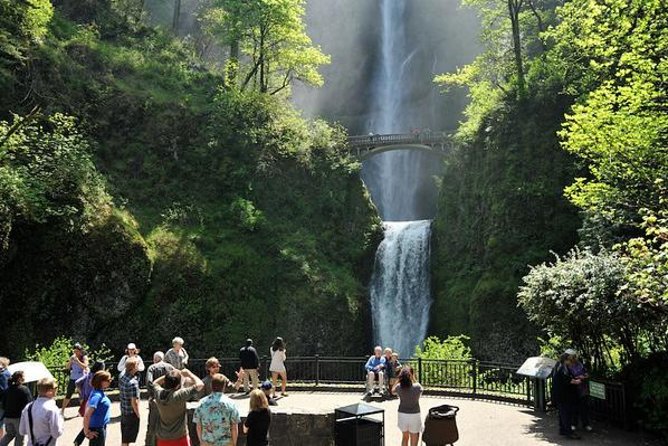 Columbia Gorge Waterfalls & Wineries from Portland: All-Inclusive Afternoon Tour - Historic Columbia River Highway Waterfalls: Great Views With Minimal Fuss