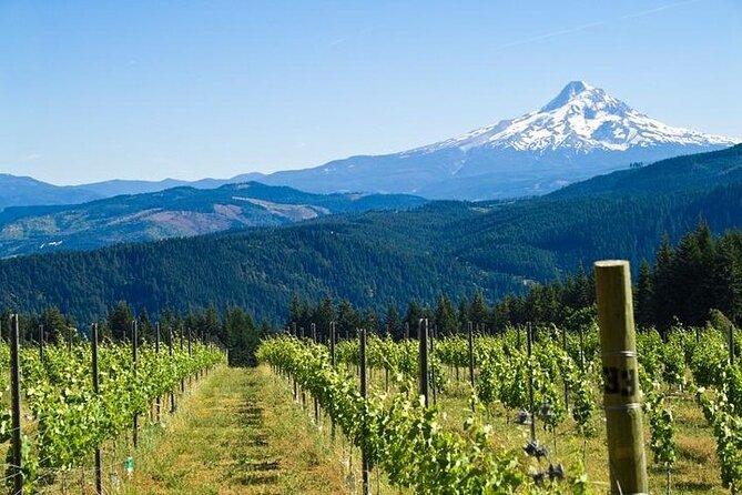 Columbia River Gorge Waterfall Tour from Portland - Getting Picked Up: Downtown Hotels, Pioneer Courthouse Square, and a Tiny Group