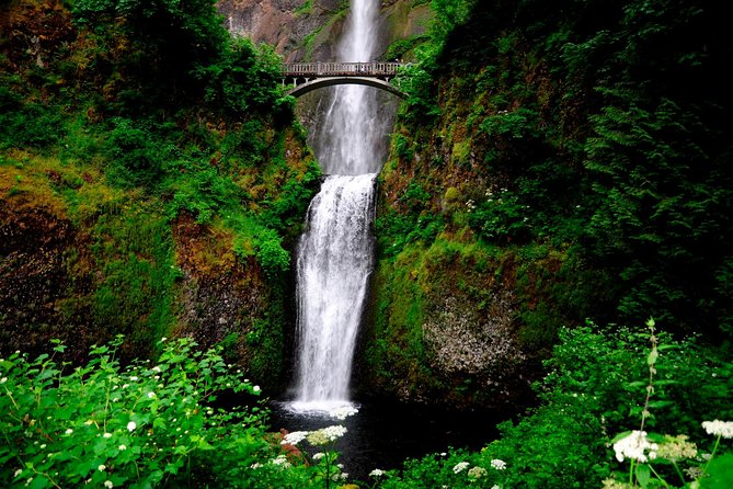 Columbia River Gorge Waterfalls & Mt Hood Tour from Portland, OR - Hood River for lunch and wind-sport views: a needed reset