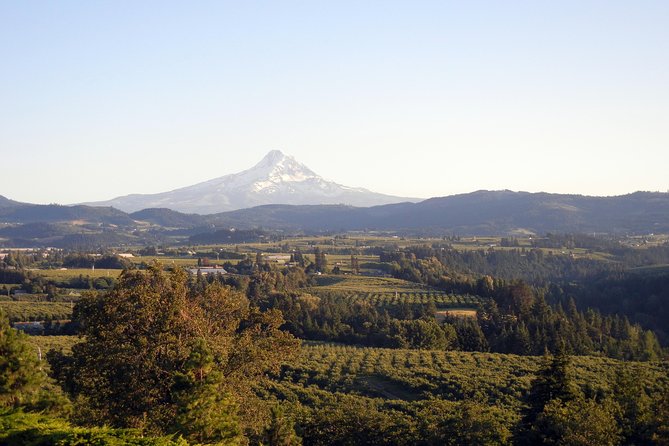 Columbia River Gorge Waterfalls & Mt Hood Tour from Portland, OR - Price and value: does $149 buy a real day, or just a long ride?