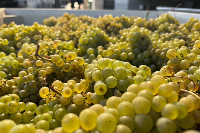 Custom Willamette Valley Wine Tours from The Allison Inn and Spa - Key highlights from this Willamette Valley wine route