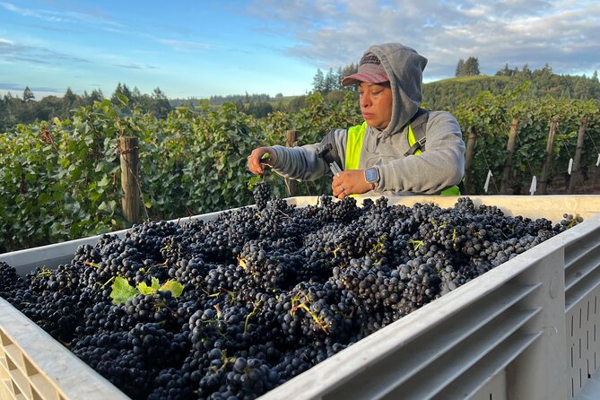 Custom Willamette Valley Wine Tours from The Allison Inn and Spa - Stop 4: Red Hills Market lunch and gift browsing break