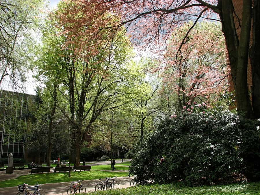 Discover Portland: Guided Sightseeing Tour (Most popular!) - International Rose Test Garden: the senses do the work