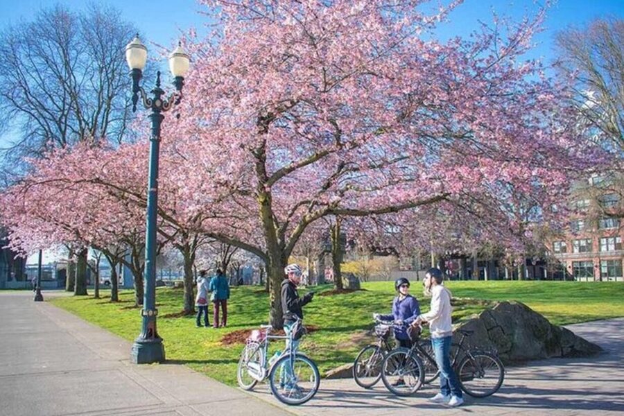 Essential Portland: 2-Hour Guided Bike Tour - Why Portland looks better at bike speed