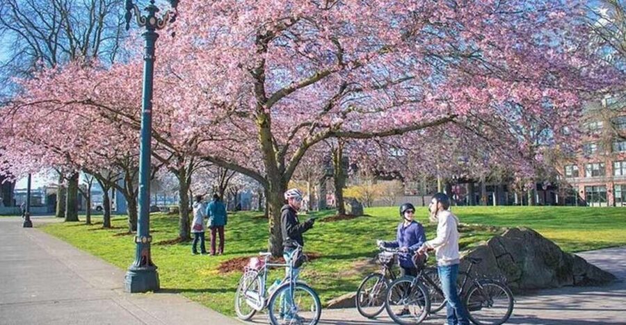 Essential Portland: 2-Hour Guided Bike Tour - Pearl District cruising: craft culture on two wheels