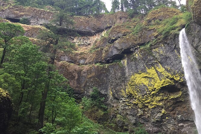 Explore Columbia River Gorge Half-Day Small-Group Hiking Tour - Key Highlights You’ll Actually Care About