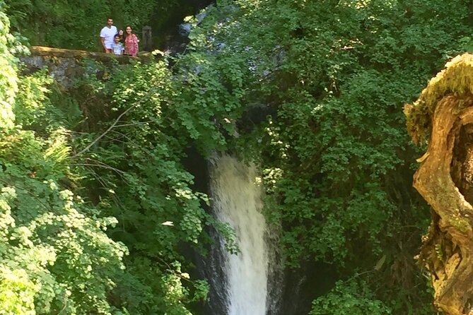 Explore Columbia River Gorge Half-Day Small-Group Hiking Tour - Latourell Falls Loop: Hanging Falls, Columnar Basalt, and Fluorescent Lichen