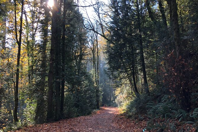 Forest Park Carbon Gravel Bike and E-Bike Tour - St Johns Bridge and Cathedral Park: North Portland’s Scenic Reset