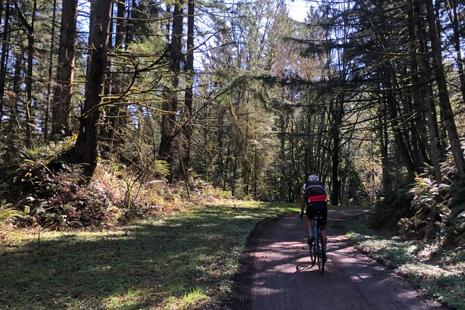 Forest Park Carbon Gravel Bike and E-Bike Tour - Mocks Crest and North Mississippi Ave: Easy Finishes With Good Atmosphere