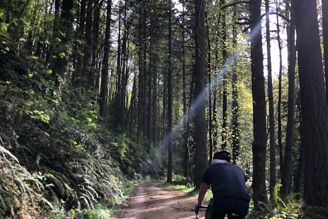 Forest Park Carbon Gravel Bike and E-Bike Tour - What This Tour Feels Like Day-to-Day: Pace, Group Size, and Comfort