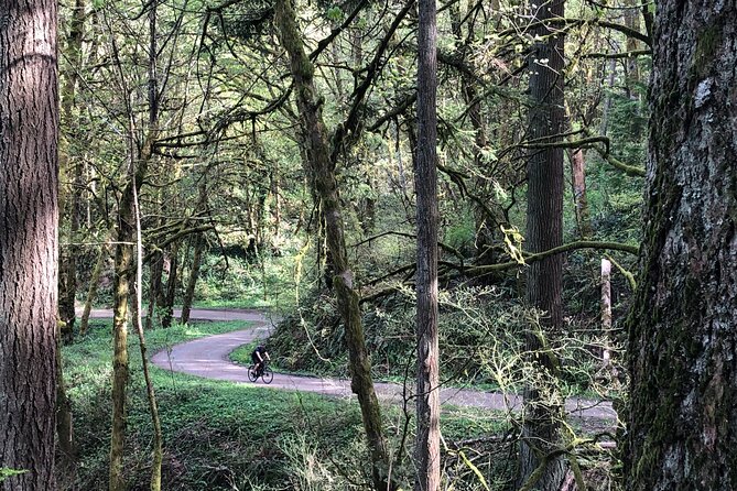 Forest Park Carbon Gravel Bike and E-Bike Tour - Forest Park and the Big Climb: Choosing Carbon Gravel vs E-Bike Assist