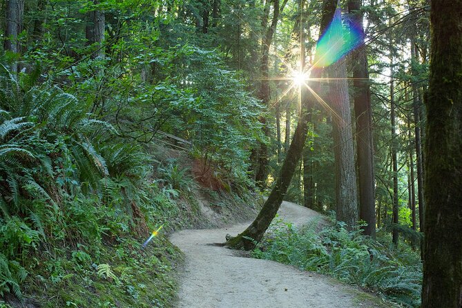 Forest Park Hiking Tour to Pittock Mansion - Pittock Mansion: picnic break and the Mount Hood view you came for