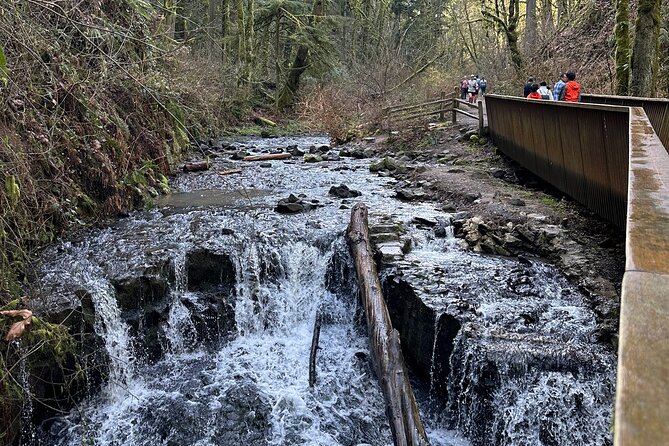 Forest Park Hiking Tour to Pittock Mansion - Lower Macleay Trailhead: start smart and follow the local rhythm