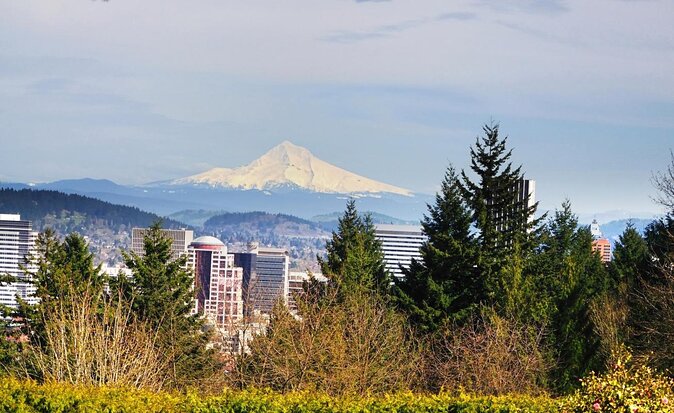 Forest Park Urban Hiking Tour, Portland - Key takeaways before you lace up