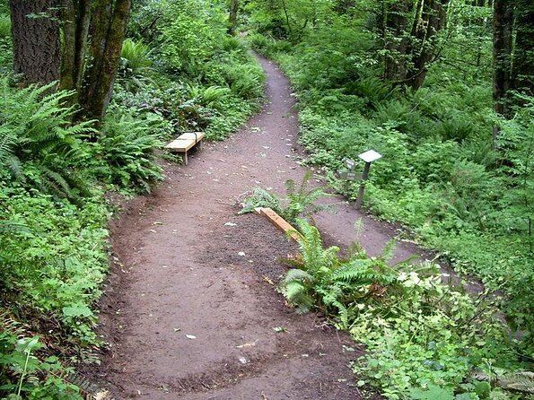 Forest Park Urban Hiking Tour, Portland - Starting at NW Thurman: Quick Warm-Up into Forest Park