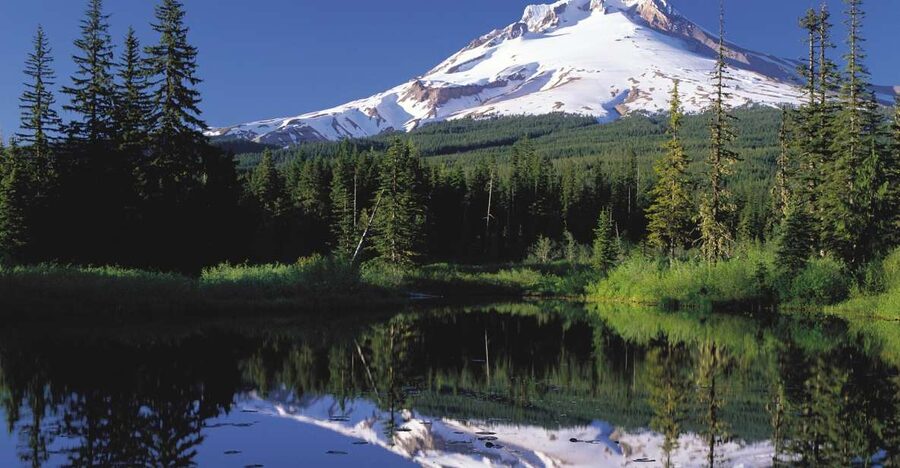 From Portland: Columbia Gorge Waterfalls and Mt. Hood Tour - Key Highlights You’ll Feel All Day