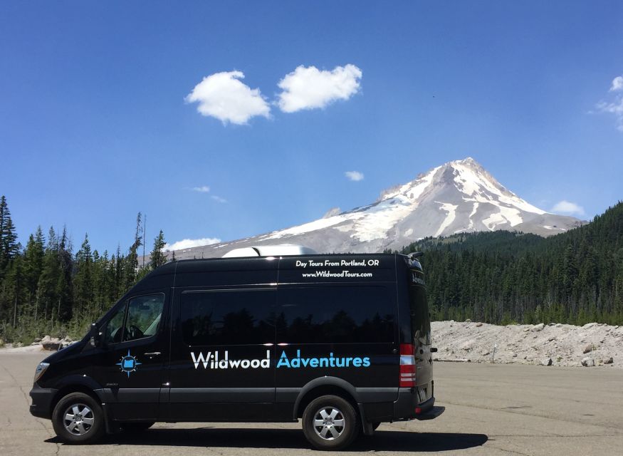 From Portland: Columbia Gorge Waterfalls and Mt. Hood Tour - Latourell Falls: columnar basalt and a short walk that pays off