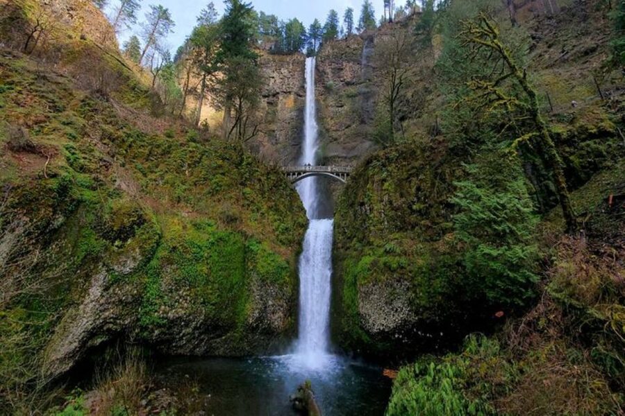 From Portland: Half-Day Columbia River Gorge Waterfalls Tour - Waterfall Row in Half a Day: What Makes This Tour Work