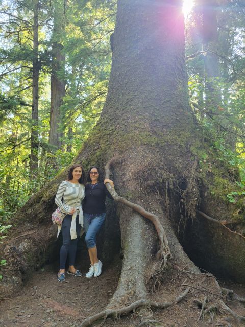 From Portland: Oregon Coast Adventure Day Tour with Pickup - What to Bring for Rain or Shine Coastal Walking