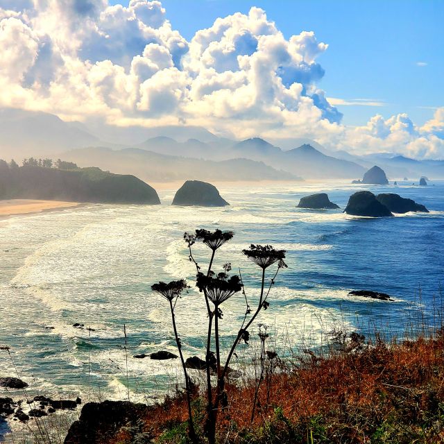 From Portland: Oregon Coast Adventure Day Tour with Pickup - Tillamook Head, Sea Stacks, and Roosevelt Elk Possibilities
