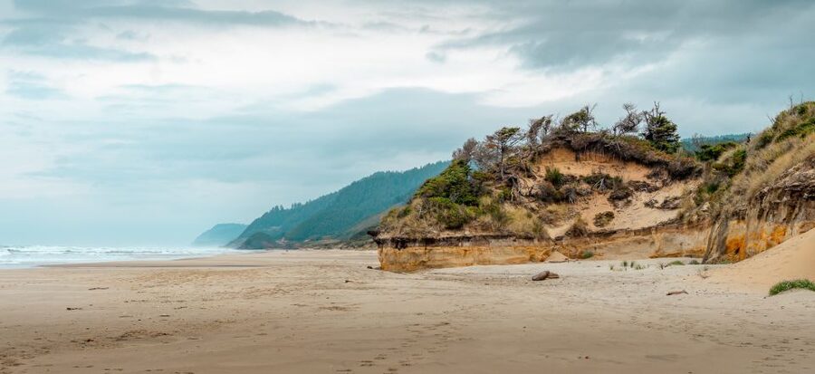 From Portland: Oregon Coast Day Trip Cannon Beach Area - Key moments worth planning for