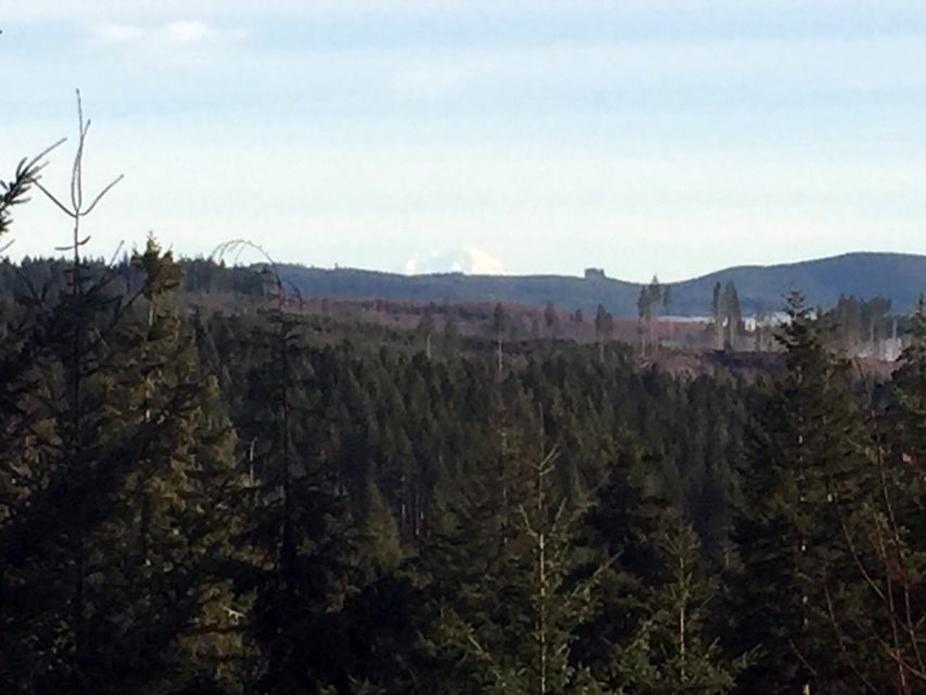 From Portland: Oregon Coast Day Trip Cannon Beach Area - Old-growth forest walk: the reset you didn’t know you needed