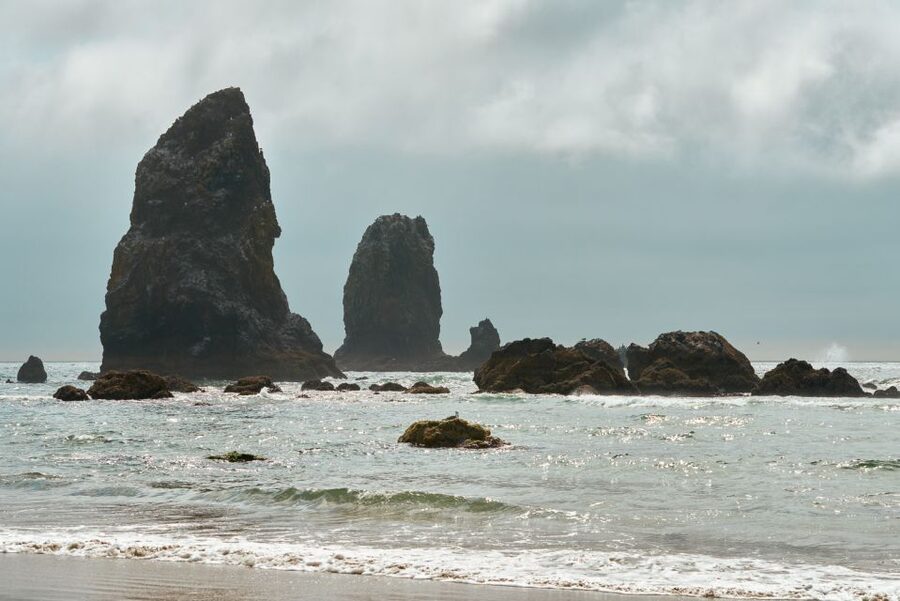 From Portland: Oregon Coast Day Trip Cannon Beach Area - The ride north: Tualatin Valley farmland to rugged coast