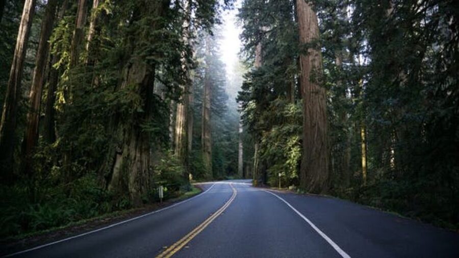 From Portland: Oregon Coast Tour - Why This Oregon Coast Day Trip Feels Worth the Money
