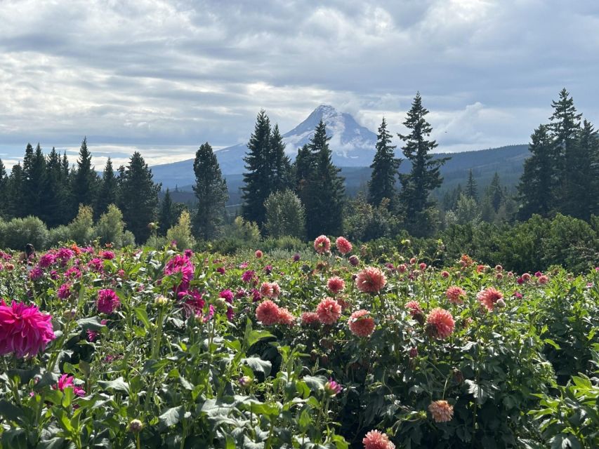 From Portland: Waterfalls, Mt Hood, and Wine Day Tour - Hood River lunch and shopping: the solo hour that actually helps