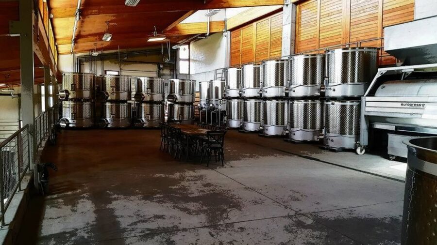 From Portland: Willamette Valley Full-Day Wine Tour - Key Takeaways Before You Go