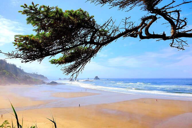 Full-Day Guided Oregon Coast Tour from Portland - Hug Point State Park vs. Oswald West State Park: Caves, Short Sands, and the Best Shots
