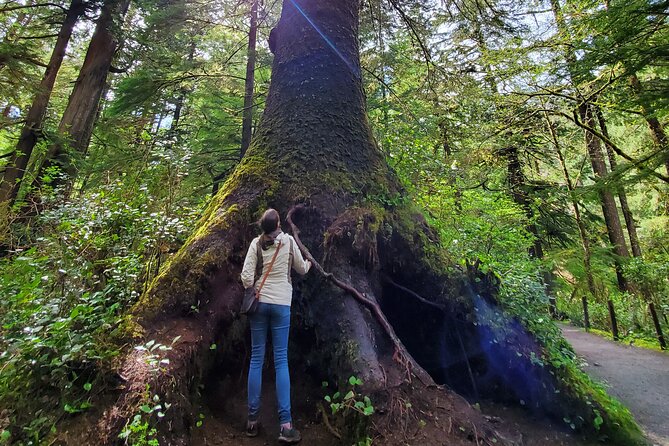 Full-Day Guided Oregon Coast Tour from Portland - Neahkahnie Mountain Viewpoint: A Coast Wraparound and Whale-Watching Chances