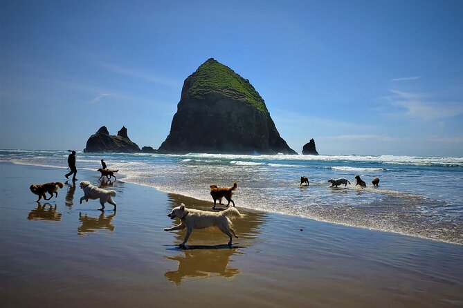 Full-Day Guided Oregon Coast Tour from Portland - The Naturalist Guide Factor: What Makes This Tour Feel Different