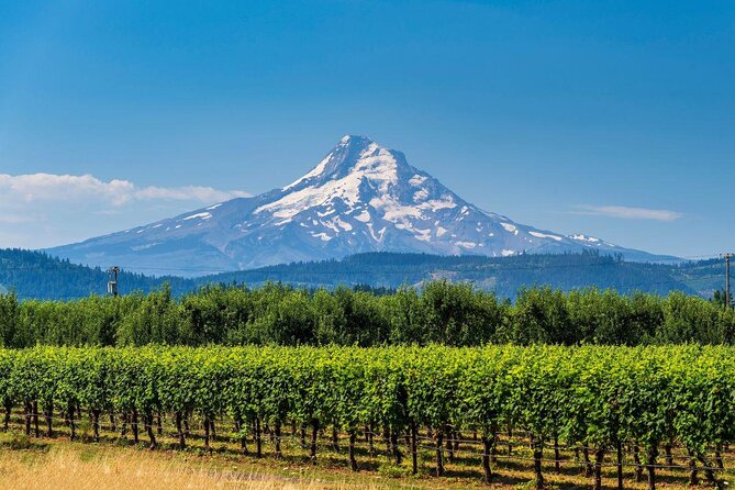 Full-Day Mt Hood Waterfall Tour with Lunch and Wine Included - Key Things I’d Book This For