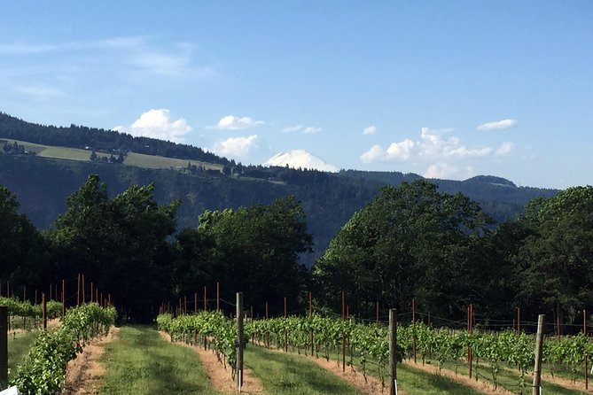 Full-Day Mt Hood Waterfall Tour with Lunch and Wine Included - Mt. Hood time: summit views, then Timberline Lodge’s historic magic