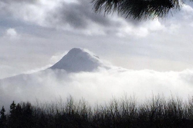 Full-Day Mt Hood Waterfall Tour with Lunch and Wine Included - Sandy River to the Gorge: starting with glacier water and salmon history