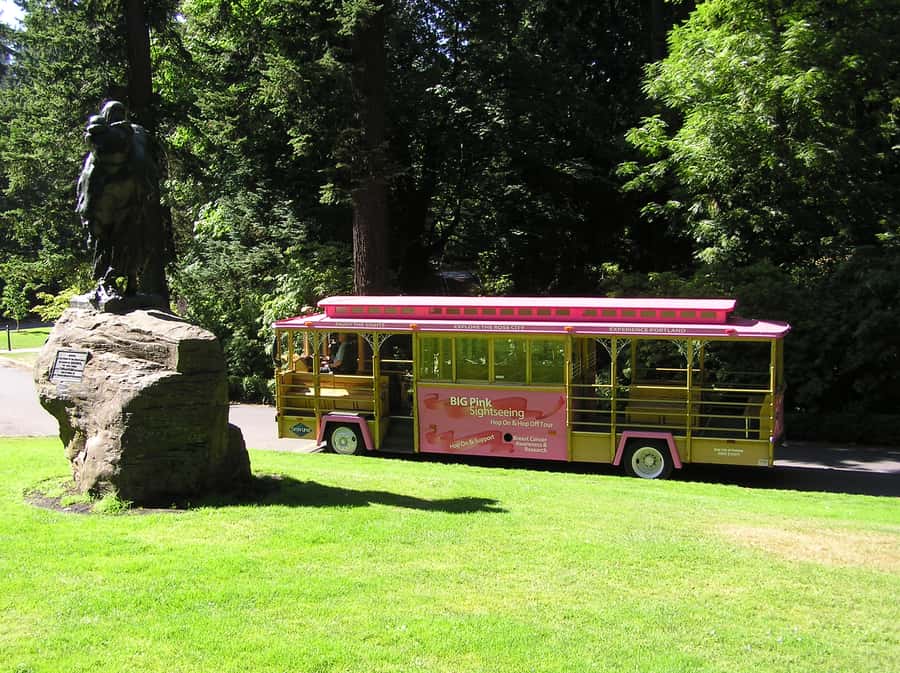 Gray Line Pink Trolley 2-Day Hop-On Hop-Off Tour Ticket - Should you book Gray Line Pink Trolley for two days?