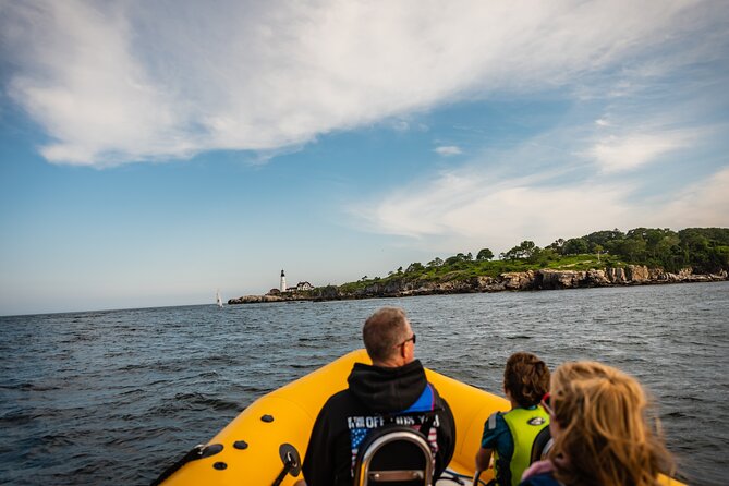 Guided RIB Boat Adventure of Portland - What you’ll likely see: wildlife habits on a RIB route